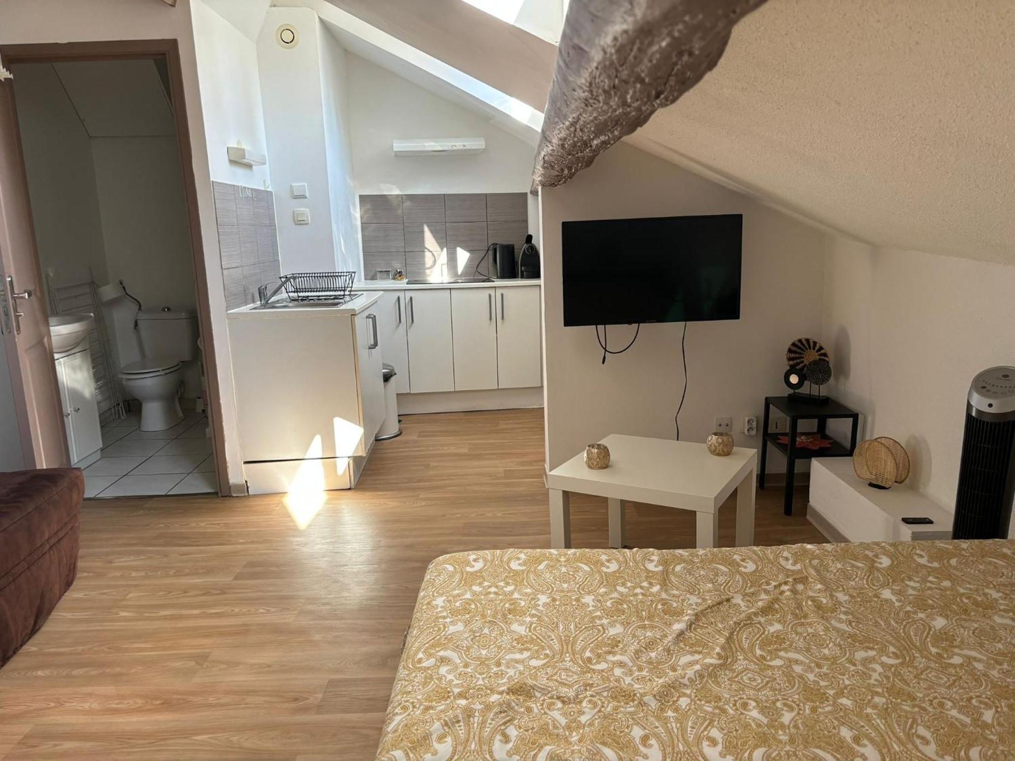 Paradis Calme En Plein Centre Ville Montpellier Eksteriør billede