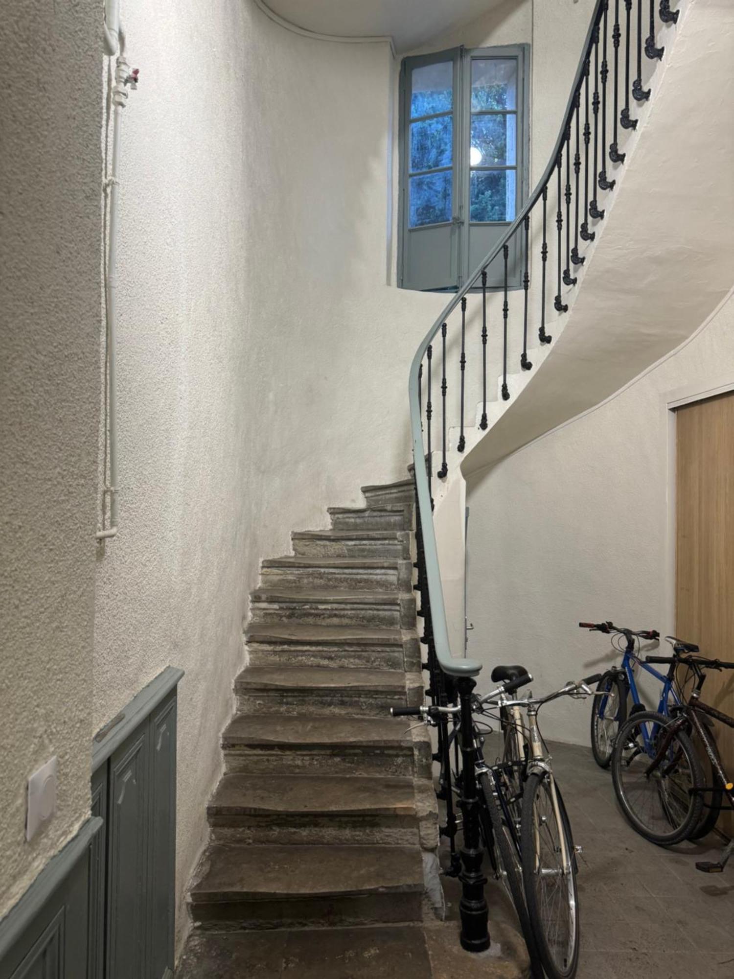 Paradis Calme En Plein Centre Ville Montpellier Eksteriør billede