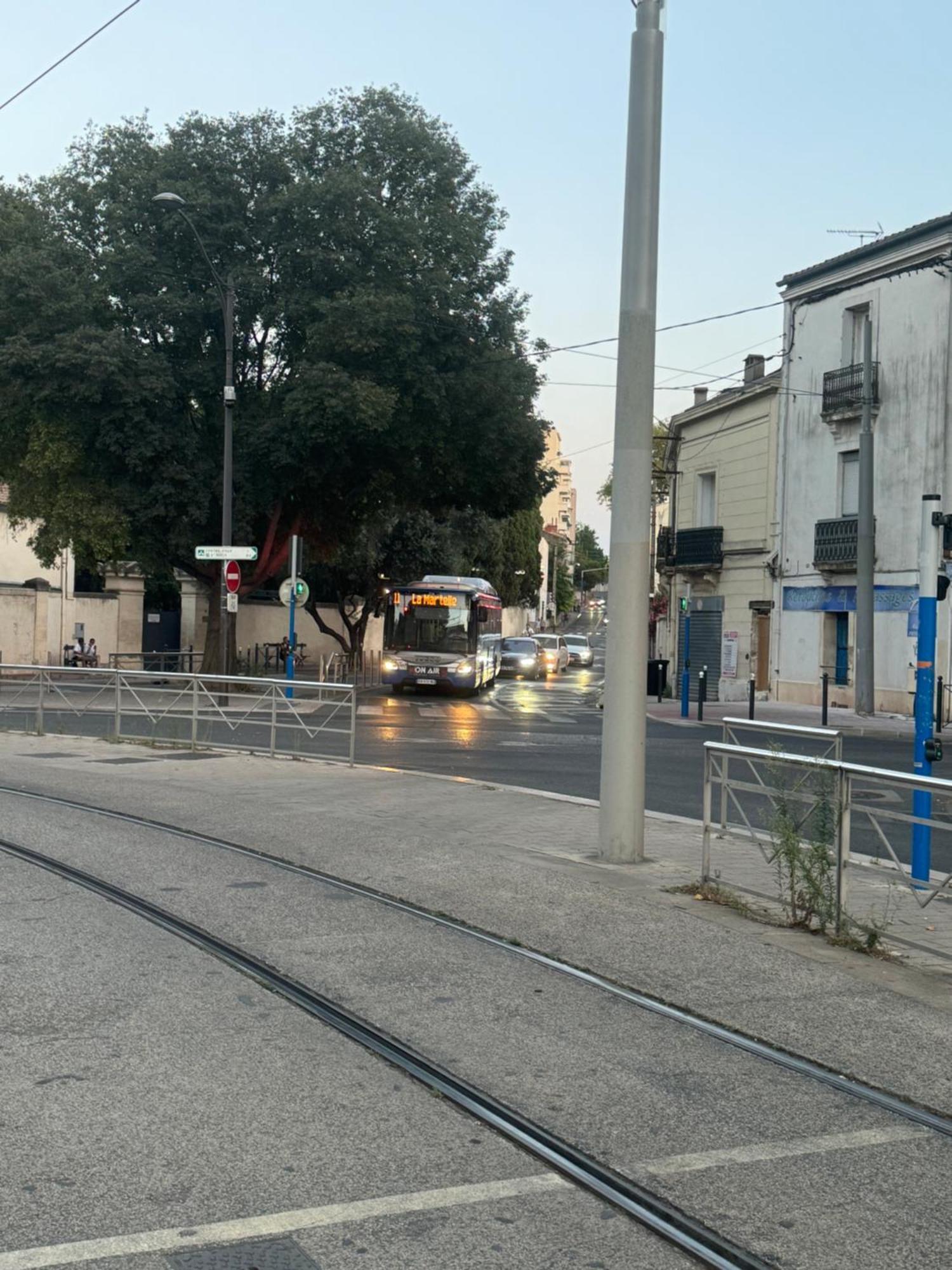 Paradis Calme En Plein Centre Ville Montpellier Eksteriør billede