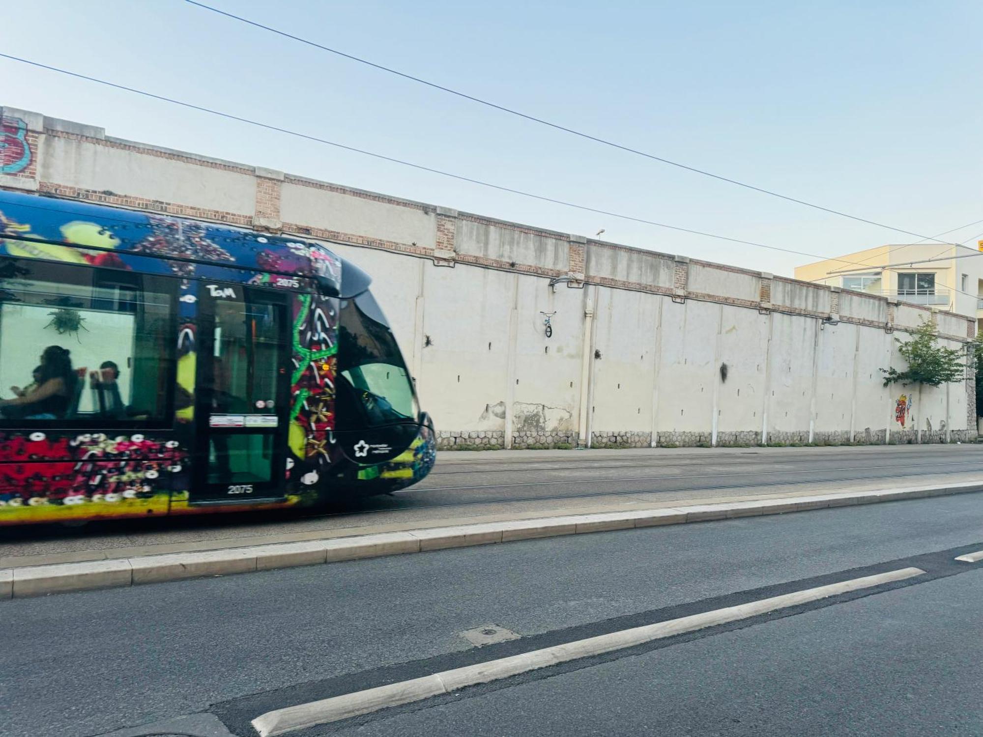 Paradis Calme En Plein Centre Ville Montpellier Eksteriør billede