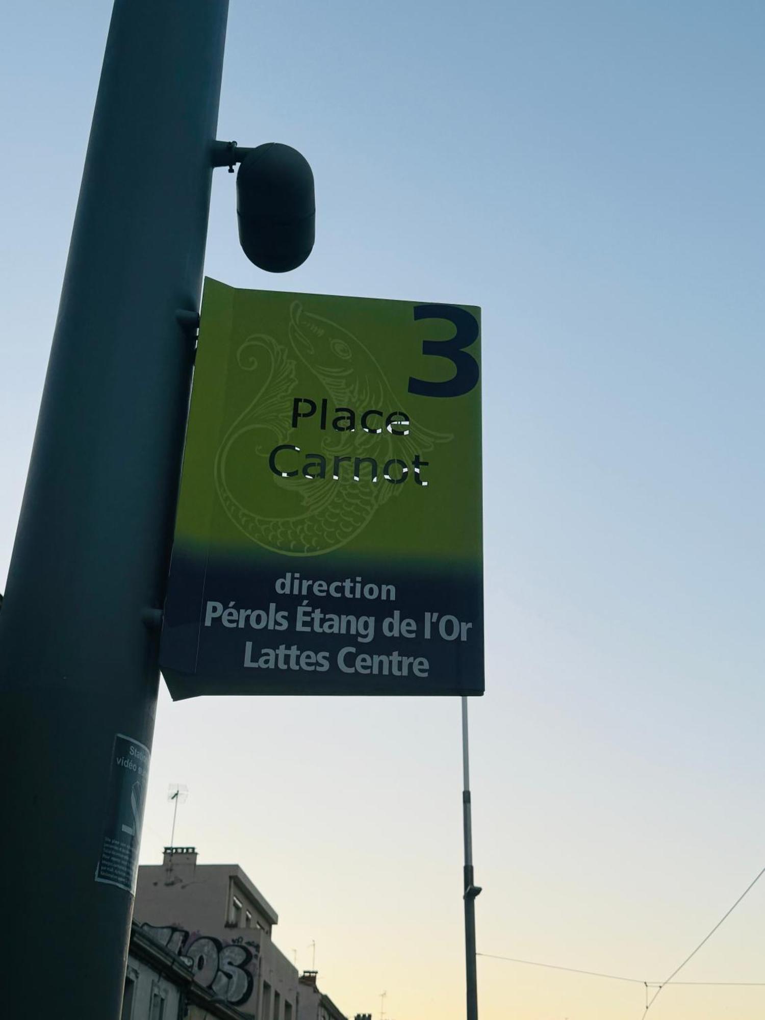 Paradis Calme En Plein Centre Ville Montpellier Eksteriør billede